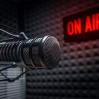 Nielsen: Rádio si udržuje dominantní postavení na americkém trhu s audiomédii. | Článek