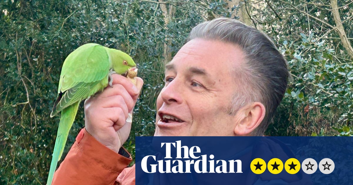 Recenze Invasion of the Parakeets – skutečně teď vedeme třídní válku s ptáky? | Televize